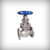 CS Globe Valve Flanged Manufacturer Ahmedabad, India