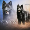AKC German Shepherd for Stud