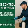 Professional Pest Control in New York – Safe & Affordable