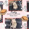 *PAIR OF BONDED SUGAR GLIDERS* (Names: Ruby And Loki)