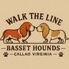 Planned Basset Hound Litter