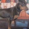 MINIATURE PINSCHER PUPPIES 