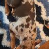1 yr old in Sept, pocket female, NOT PAPERED 