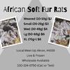 Asf's African Soft fur Rats Live & Frozen