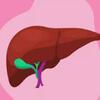 Liver Detox Supplements: Best Natural Support for Healthy Liver: