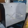 Canary,finch show cages and carriers