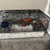 hamster cage and supplies.