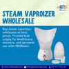 steam vaporizer wholesale in India 