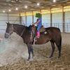 Quarter horse mare 