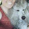 Beautiful Silver/Platinum Standard Poodle