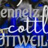"SLK SCOTTLINE KENNELZ ROTTWEILERS 