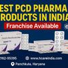 15 Best PCD Pharma Companies In Chandigarh