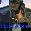 12wk old AKC Cane Corso pups 
