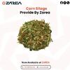 Corn Silage Available at | ZAREA Ltd |