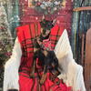 AKC Doberman puppies