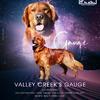 DARK RED Golden Retriever stud, Health tested