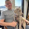 Female Weimaraner 