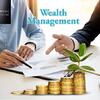 Grow Your Wealth with Premium Wealth Management Services