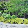 Garden Design & Planting | Select Landscaping | Full- Service Landscape Experts | Toronto & GTA