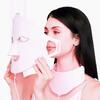 Light Therapy Facial-X7 Deliverable